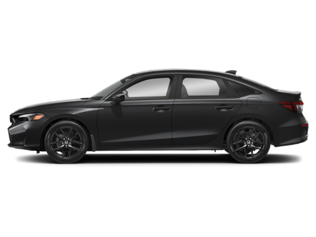 Extérieur - Noir cristal nacré