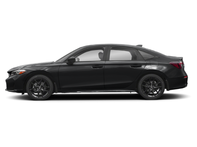 Extérieur - Noir cristal nacré