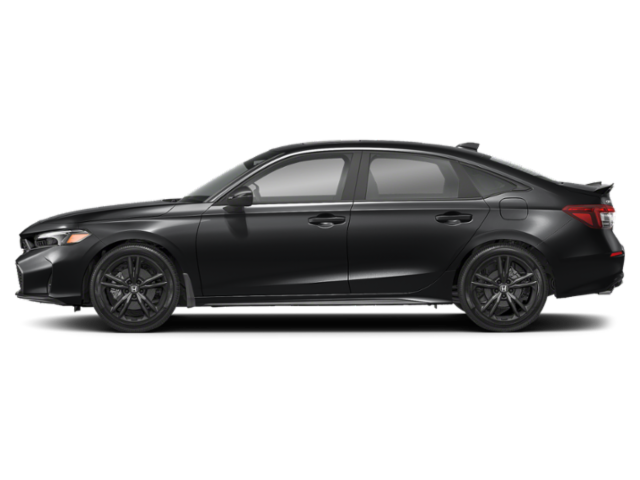 Extérieur - Noir cristal nacré