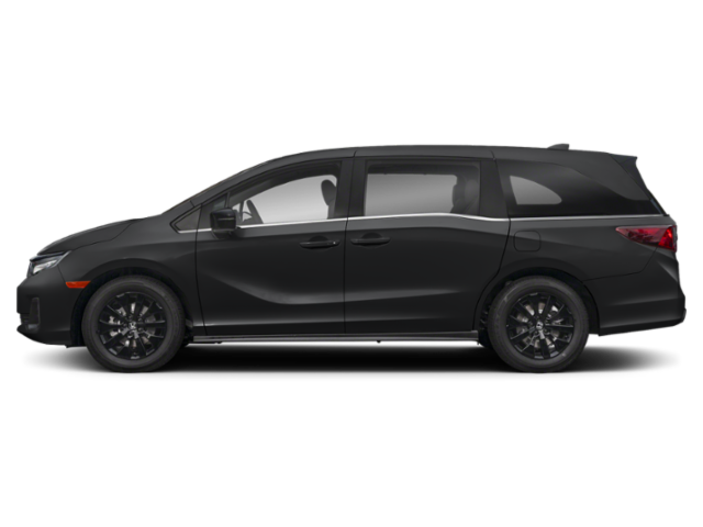 Extérieur - Noir cristal nacré