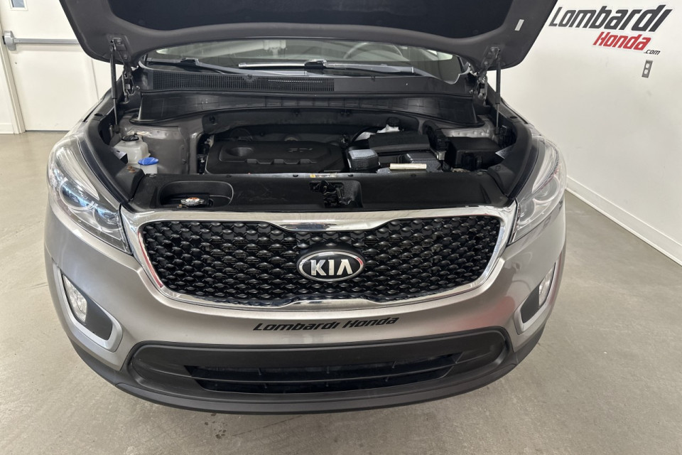 2017 Kia Sorento - Image 24